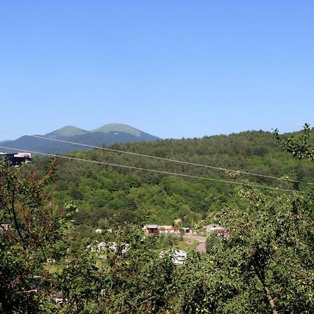 Dilijan Town Inn Eksteriør bilde